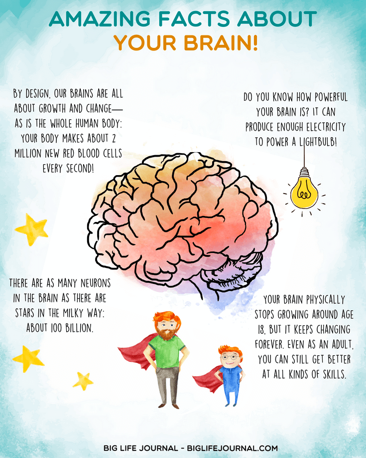 Amazing Facts about Brain - big life jouranl