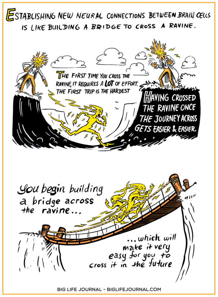 Build a Bridge - Neuroplasticity - Big Life Journal